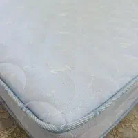 تشک دو عددطبی فنری