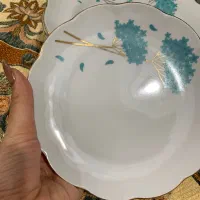 ست چینی|ظروف سرو و پذیرایی|رشت, پاره بیجار|دیوار