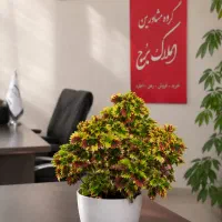 مغازه تجاری ۱۰۰ متری ( بلوار باهنر )
