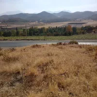 ۳هزار متر زمین کشاورزی روی خیابان اصلی