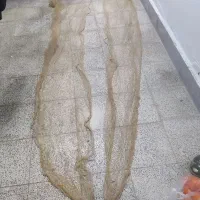 سره|ماهیگیری|همدان, |دیوار