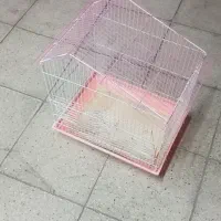 قفس پرنده نو