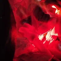 ذغال فروشی مرکزی|عمدهفروشی|قم, پامنار|دیوار