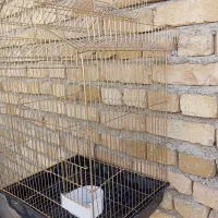 حیوانات|لوازم جانبی حیوانات|همدان, |دیوار