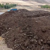 فروش کود گوسفندی کهنه