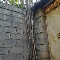 چوب گردو تکانی