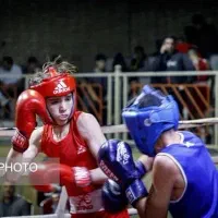 آموزش بوکس|خدمات آموزشی|آبادان, |دیوار