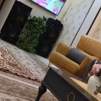 اسپیکر دو قلو سونیا