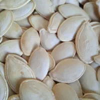 تخم کدو بوزاری شده برداشت امسال