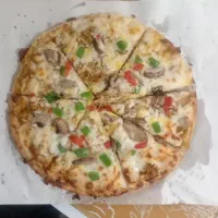 پیتزا رایگان