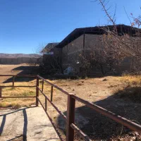 اجاره اصطبل اسب،گاوداری باتجهیزات،انبار ماشین آلات|اجارهٔ دفتر صنعتی، کشاورزی، تجاری|شیراز, مجتمع شهید پرویزی|دیوار