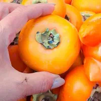 تفریح وتورگردشگری بانوان درمرودشت مقرون بصرفه|تور و چارتر|مرودشت, ثبت احوال|دیوار