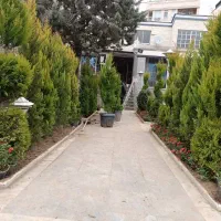 خدمات باغبانی هرسکاری کودهی بیل.زنی|خدمات باغبانی و درختکاری|پرند, فاز ۲|دیوار