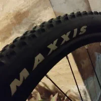 لاستیک دوچرخه سایز ۲۹ برند مکسیس