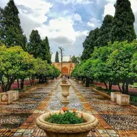 نیروی نظافتی برای آشپزخانه