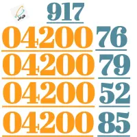 917.062.00.89|سیم‌کارت|شیراز, معالی‌آباد|دیوار