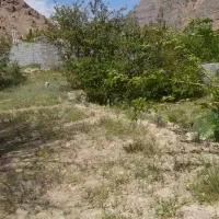 زمین