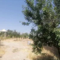 فروش خانه ویلایی ۸۰ متری در حومه شیراز|فروش خانه و ویلا|شیراز, حومه شیراز|دیوار