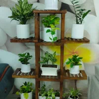 استند گل ۱۰ طبقه|گل و گیاه طبیعی|اسلام‌شهر, چیچکلو|دیوار