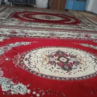 قالی ۱۲متری