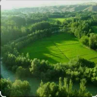 زمین فروشی گردنه علیمردان رحمت آباد باغبهادران