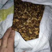 توت خشک