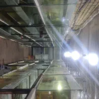 واگذاری سالن پرورش ماهی