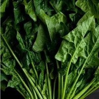 اسفناج محلی (بمب آهن)