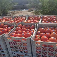 کارگر دستگاه سبد زنی