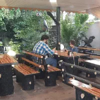 بستنی شقایق