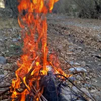 گروه طبیعت گردی