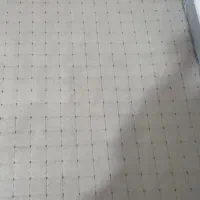 پالاز موکت|موکت|بروجرد, |دیوار