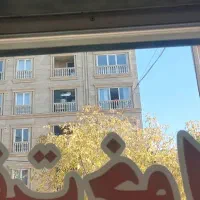 زمین-با-پروانه