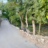زمین باغی 3 نبش در شهمیرزاد واقع در خیابان ساری|فروش زمین و ملک کلنگی|شهمیرزاد, |دیوار