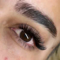 جشنواره ویژه پاییزه شروع شد