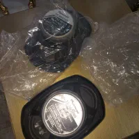 باند پایونر