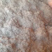 کاه زرد ۵ کیسه