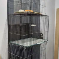 قفس پرنده