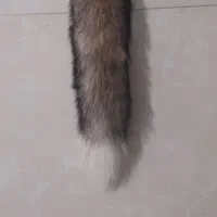 تزئینات