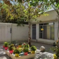 اسکلت نیمساز / مهداب / سند تک برگ