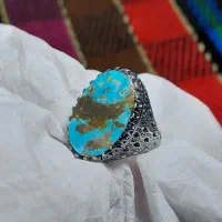 فیروزه نیشابوری اقتصادی