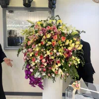باکس گل اجاره یا فروش