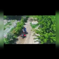 کلیه خدمات باغبانی و کشاورزی|خدمات باغبانی و درختکاری|مشهد, حرم مطهر رضوی|دیوار