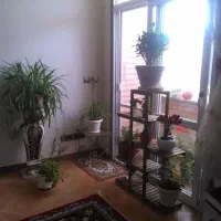 آپارتمان-دوخوابه