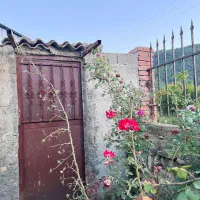 تهاتر یا فروش باغ ۱۷۰۰متری|فروش زمین و ملک کلنگی|نوکنده, |دیوار