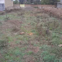 زمین فروشی ۳۰۰متر درمیر افضل|فروش زمین و ملک کلنگی|کیاسر, |دیوار