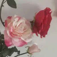 گل مصنوعی|گل مصنوعی|اردبیل, |دیوار