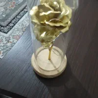 گل طلایی|گل مصنوعی|شیراز, ریاستی|دیوار
