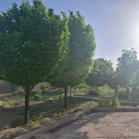 باغ-شهری-2800-متری-سیاخ-دارنگون
