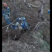 تیلر زنی وشخم زنی|خدمات باغبانی و درختکاری|دینور, |دیوار